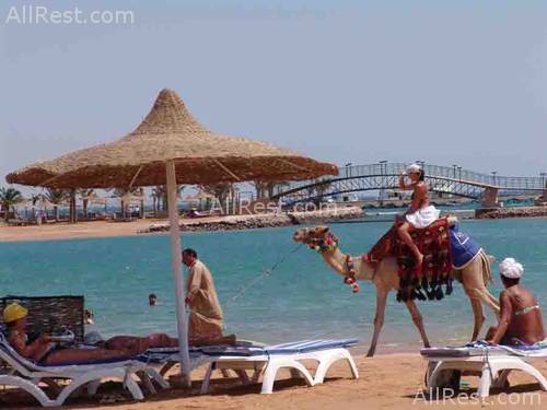 Desert Rose Resort 43